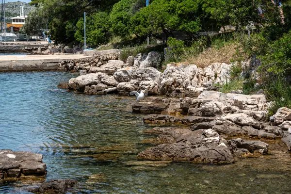 Kornati Telašćica wycieczka statkiem profesjonalna fotografia 5
